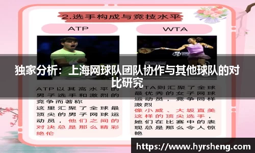 独家分析：上海网球队团队协作与其他球队的对比研究